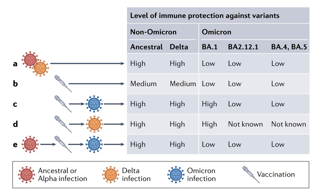 Eric Topol (@erictopol) on Twitter photo The enhanced protection afforded by hybrid immunity (Covid infection plus vaccination) is influenced by variants nature.com/articles/s4157… <a href="/NatRevImmunol/">Nature Rev Immunol</a> <a href="/rahulsurya85/">Rahul K Suryawanshi</a> <a href="/TheOttLab/">The Ott Lab</a> The enhanced protection afforded by hybrid immunity (Covid infection plus vaccination) is influenced by variants nature.com/articles/s4157… <a href="/NatRevImmunol/">Nature Rev Immunol</a> <a href="/rahulsurya85/">Rahul K Suryawanshi</a> <a href="/TheOttLab/">The Ott Lab</a>