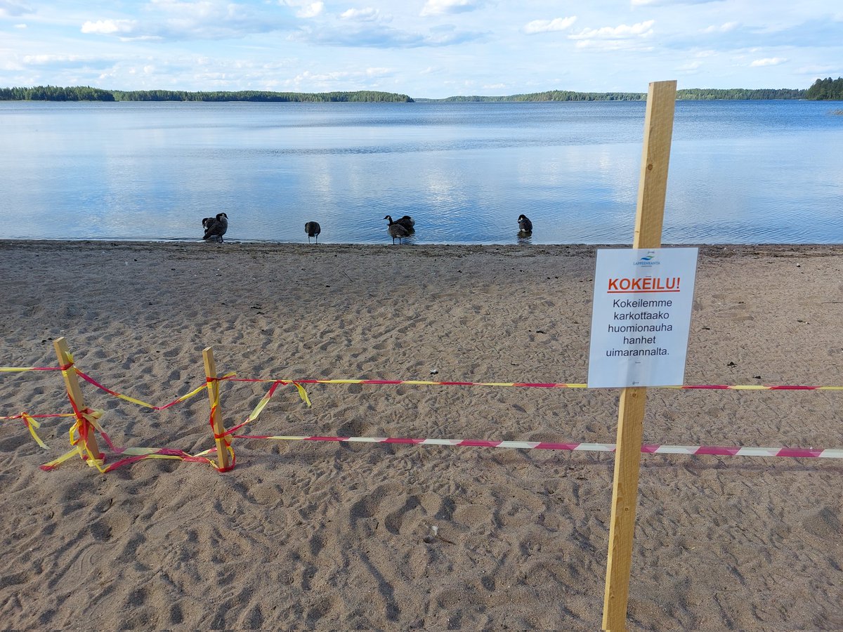 Hmm. Toimiikohan huomionauha?