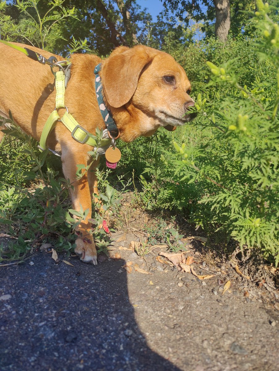 Nother day, nother sniff