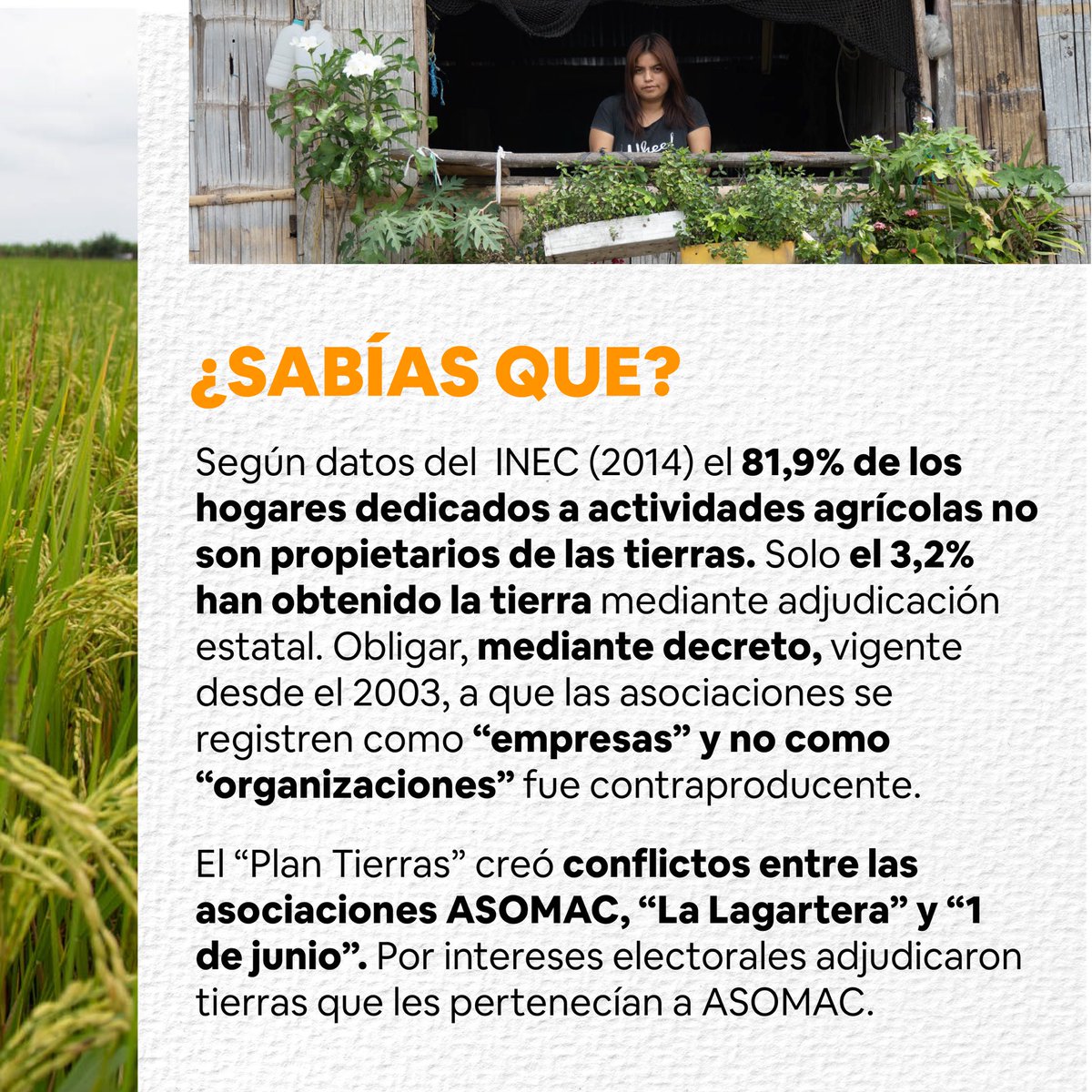 coopdocs's tweet photo. 👩‍🌾👨‍🌾#CampesinosPorLaTierra
✊#CampesinosPorDerechosDeAsociación
 
⛏La tierra debe ser para quien la trabaja y ha vivido en ella.
 
Por intereses electorales el #PlanTierras generó el caso más grave de vulneración de derechos que se conoce hasta la fecha.
 
#JusticiaParaAsomac https://t.co/ytYrll7C6I