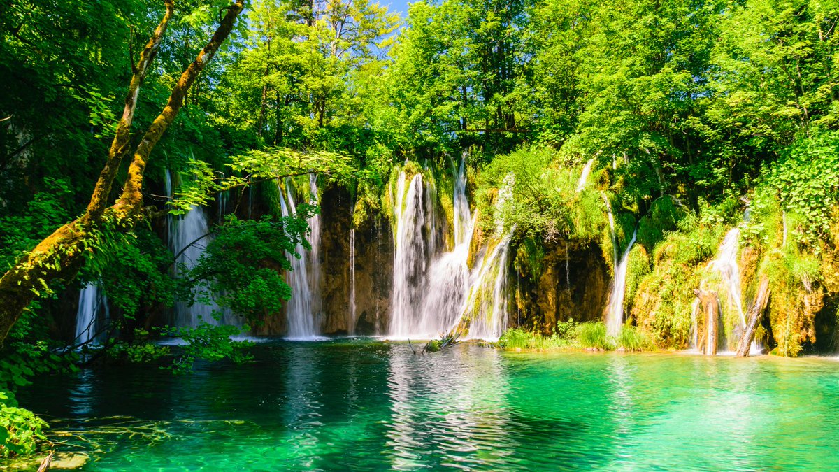 JourneyHeroApp's tweet photo. Here are #Top4Water for this week's #Top4Theme!
@CharlesMcCool @perthtravelers @LiveaMemory
@Giselleinmotion
๐Cenote Samula, Mexico
๐Plitvice Lakes, Croatia
๐Port Isaac, England
๐Capri, Italy https://t.co/P7LYcGUTjP