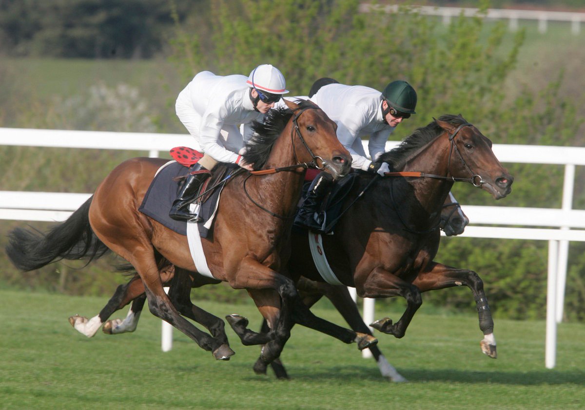 Fran Berry tweet media