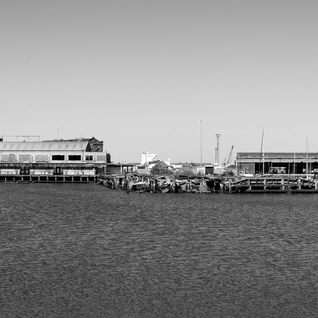 YMCAHumber's tweet image. We held a photography drop-in session this morning and the photos look great! 📸  

If you are interested in photography and would like to come along to our next free session, this will be held on 7th September, 10am - 11.30am.

#photographyclass #ymca #wellbeingprogramme