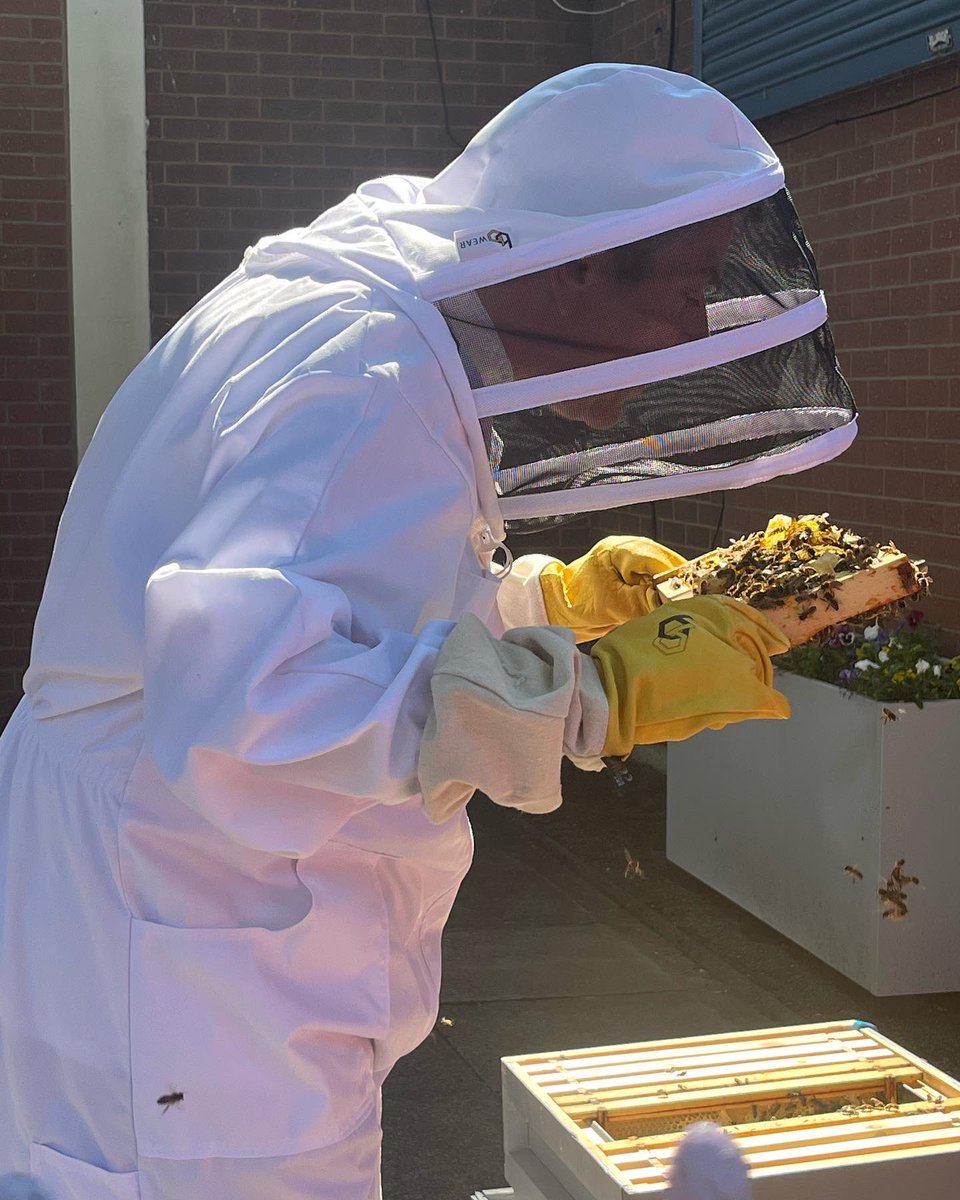 TomorrowsWomen's tweet photo. Today Lisa went to check on the bees and found they were thriving, creating loads of honey 🍯 🐝 #beekeeping #beekeepersofinstagram https://t.co/nsCcqq910B
