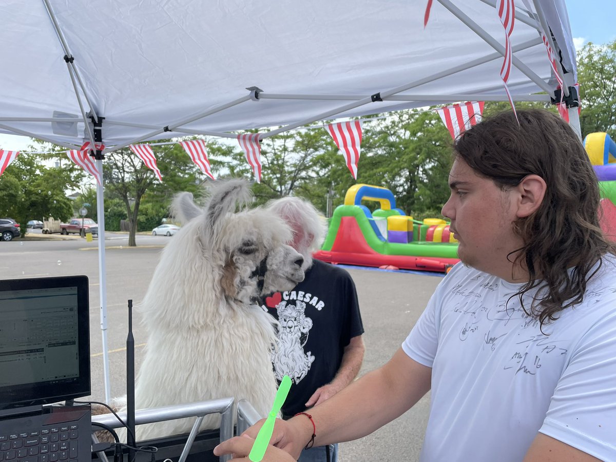 NorthwestAudio's tweet photo. #Llamas need DJs https://t.co/fsDgeynta9 https://t.co/HRVpHhLOXx