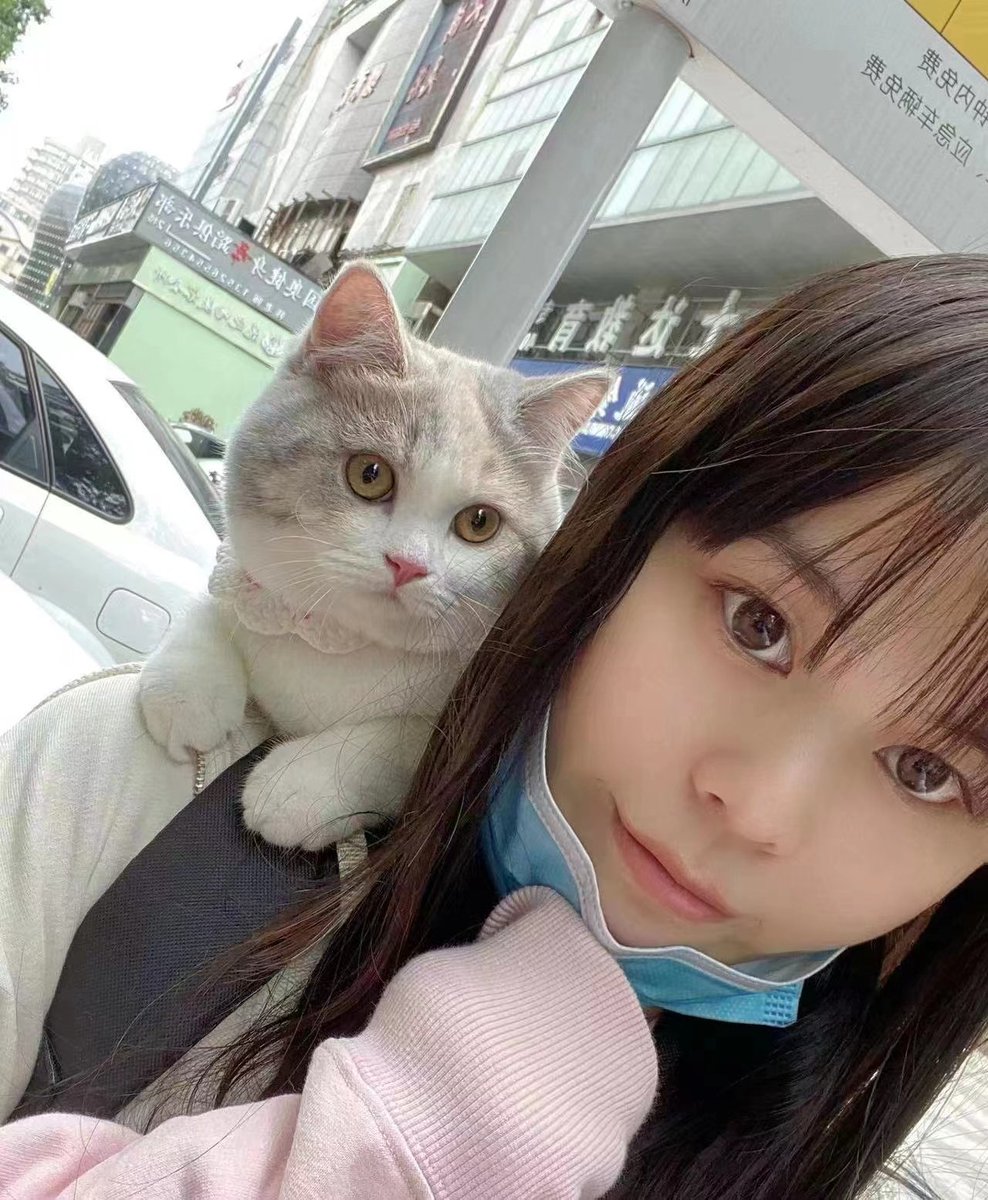 ppkaha's tweet photo. 河南中医药大学生明码标价私信联系 #河南 https://t.co/iYJCcFidVk