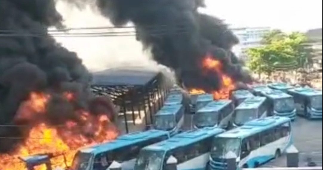 Lagospidia tweet media