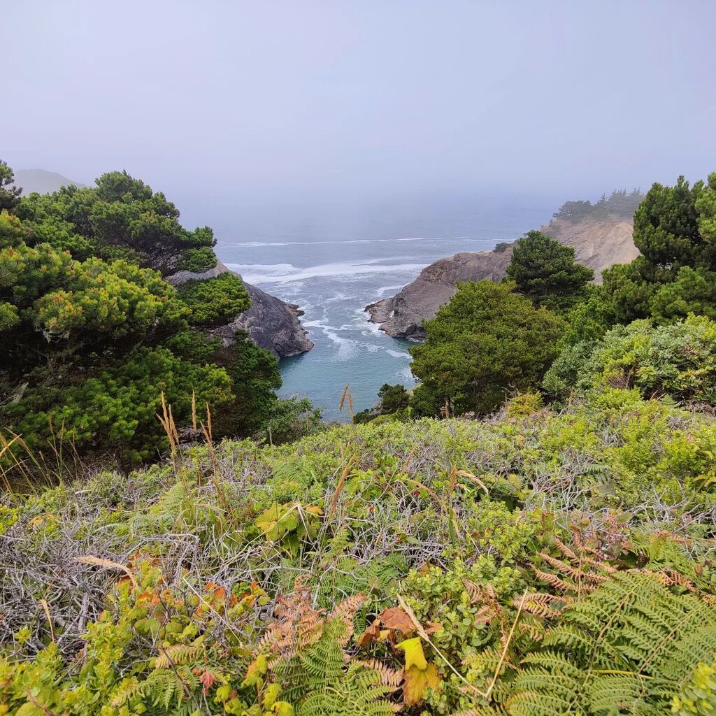 tnotn's tweet photo. A little fog rolling by. https://t.co/0u2fF9MpDT https://t.co/xUkA8x8sf9