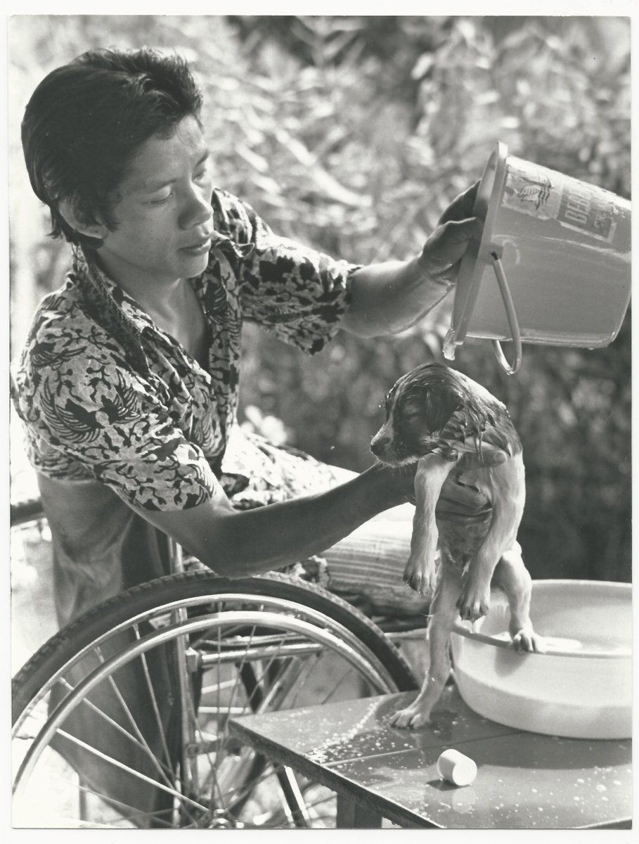 It's bath time 🐶 🚿 
Photograph taken by Norman Potter in the Phillippines during the 1970s. 
#ExploreYourArchive #EYAAnimals #WaybackWednesday