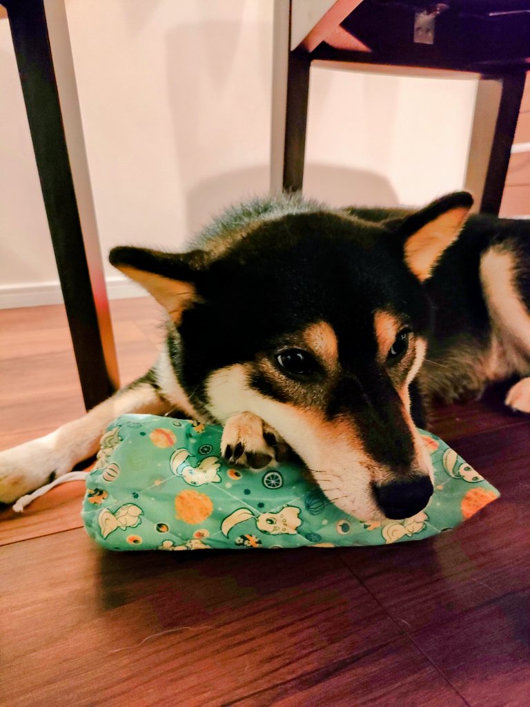 ペットボトルケース Twitter Search Twitter ペットボトルケース Twitter Search Twitter