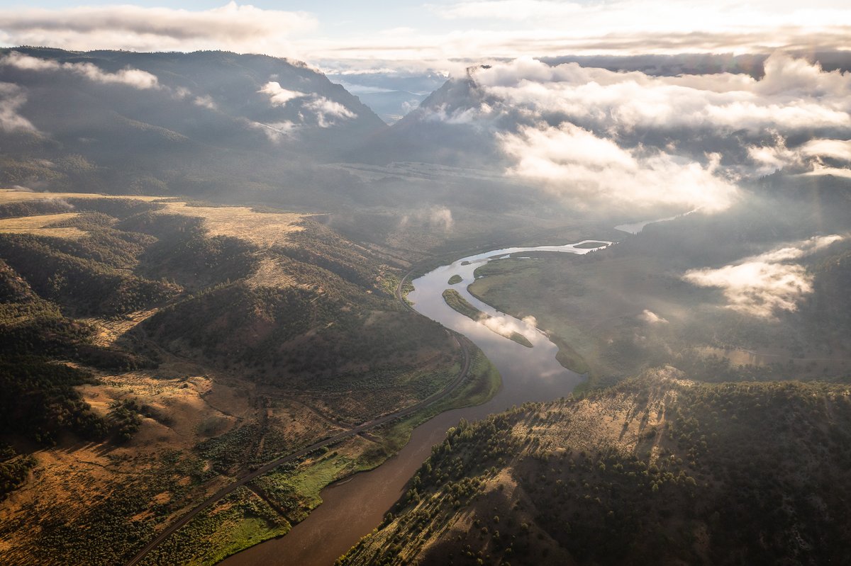 RossBernards's tweet image. Let that midweek fog burn off.