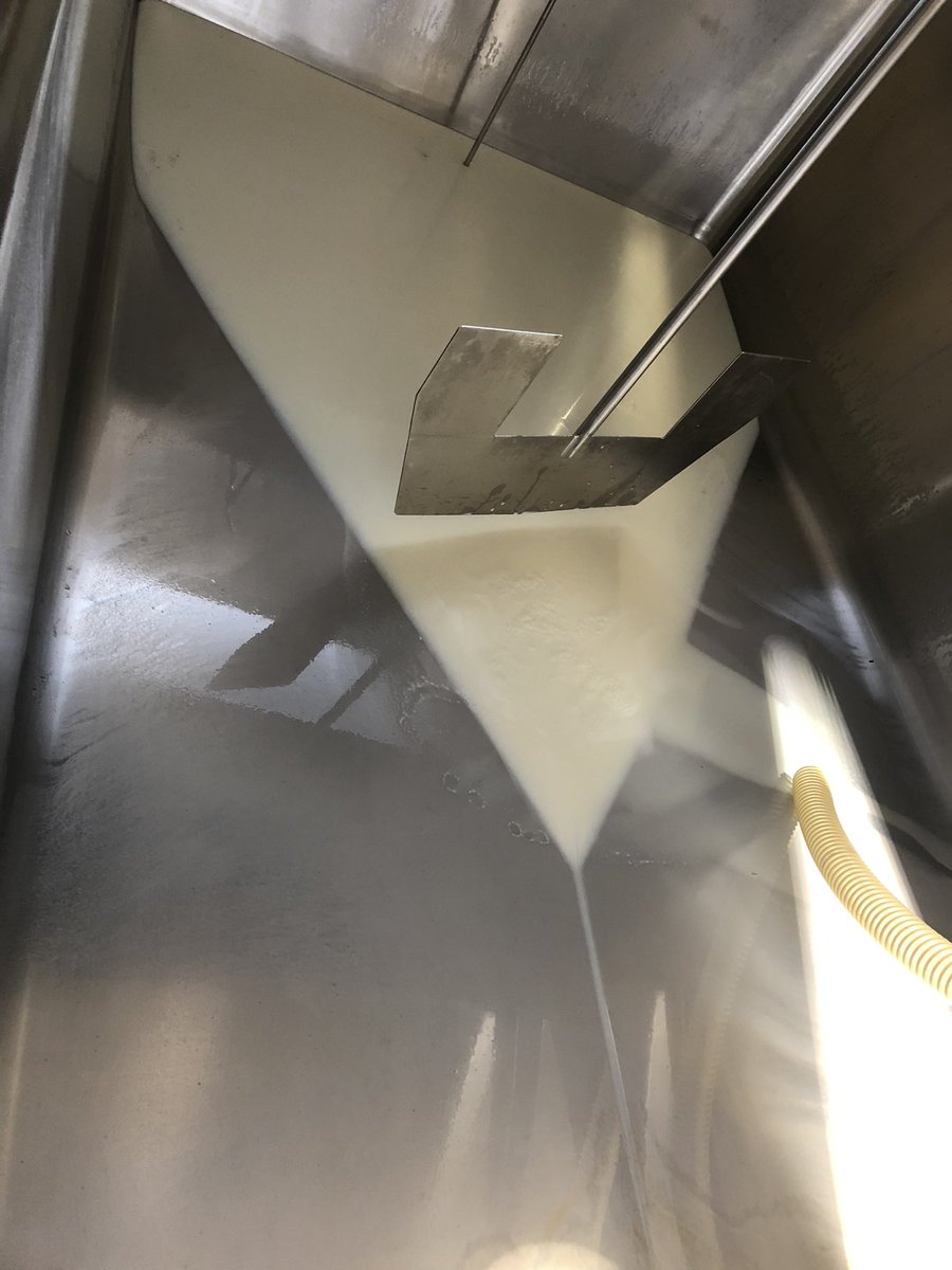 SHEEP MILK available! Our Tuesday, Wednesday, Thursday milk production is too small to go to our main customer this late in the season - can anyone use 150lts on a Thursday?? Or can anyone process it for us to sell???? #sheepmilk #sheepcheese #artisanfood #cheesemaker