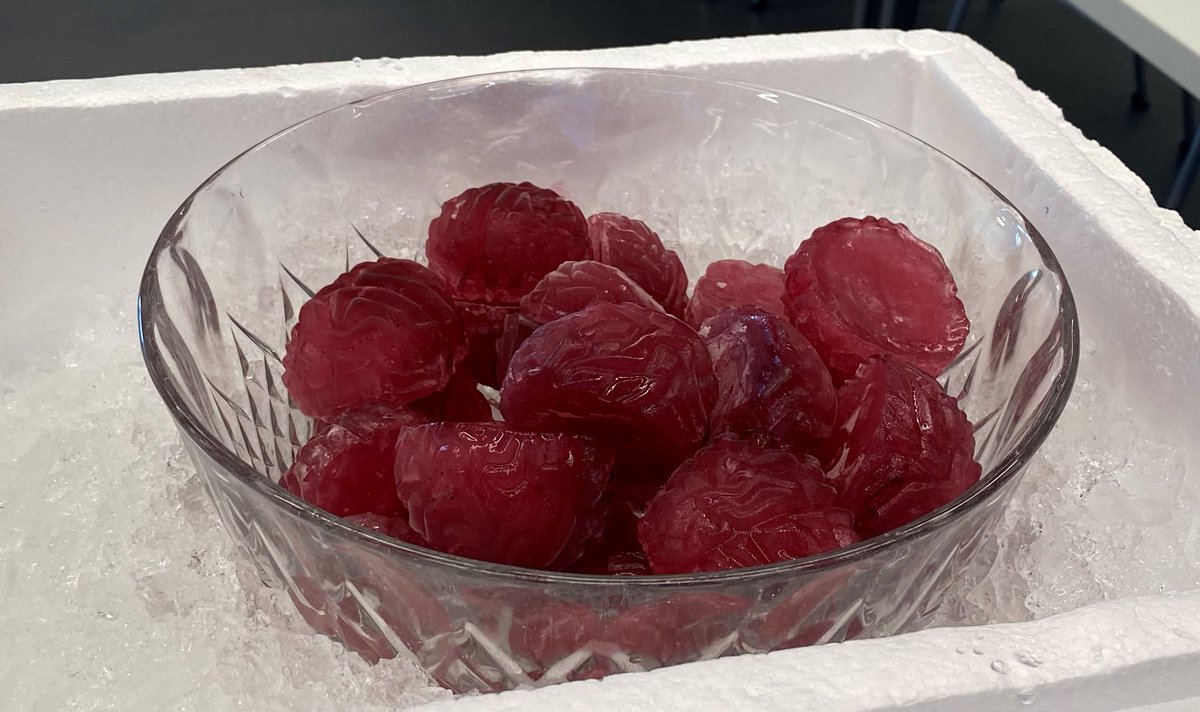 Fitzy_Lab's tweet photo. who thought spooky frozen brains could be so delicious 😋the perfect brain in a dish model!
#brainfood #minibrains #science https://t.co/ZrTSGDoGYT