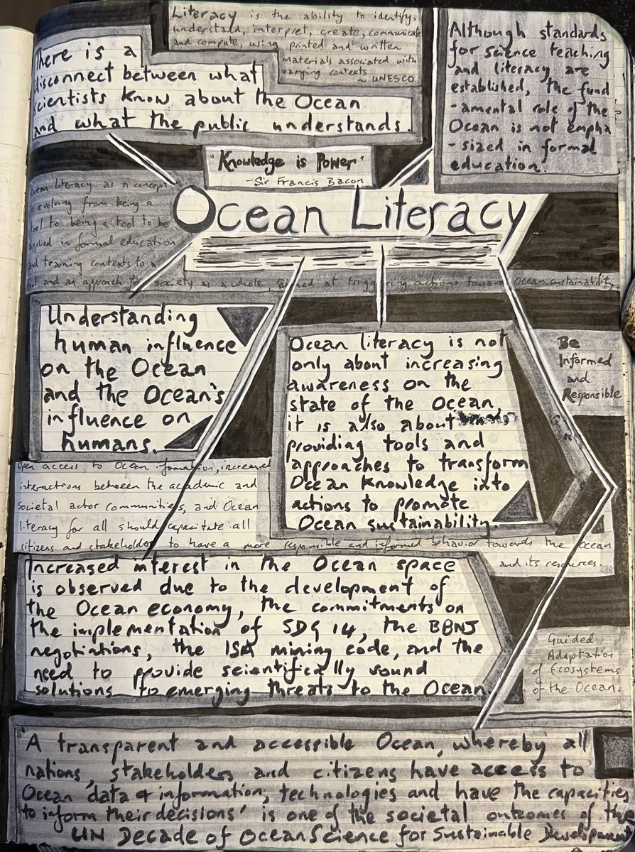 Ocean Literacy is key. Diary notes from a 2020 brainstorming. People protect what they love & to truly love they must understand. The UN Decade of Ocean Science is doing its bit. Governments should now be including Ocean Literacy in national school curricula. ⁦@IocUnesco⁩