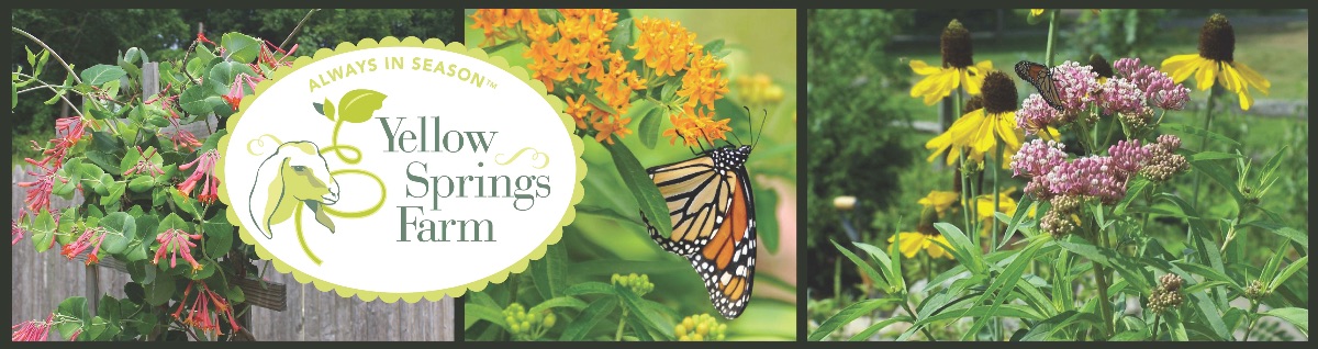 Yellow Springs Farm LLC tweet media