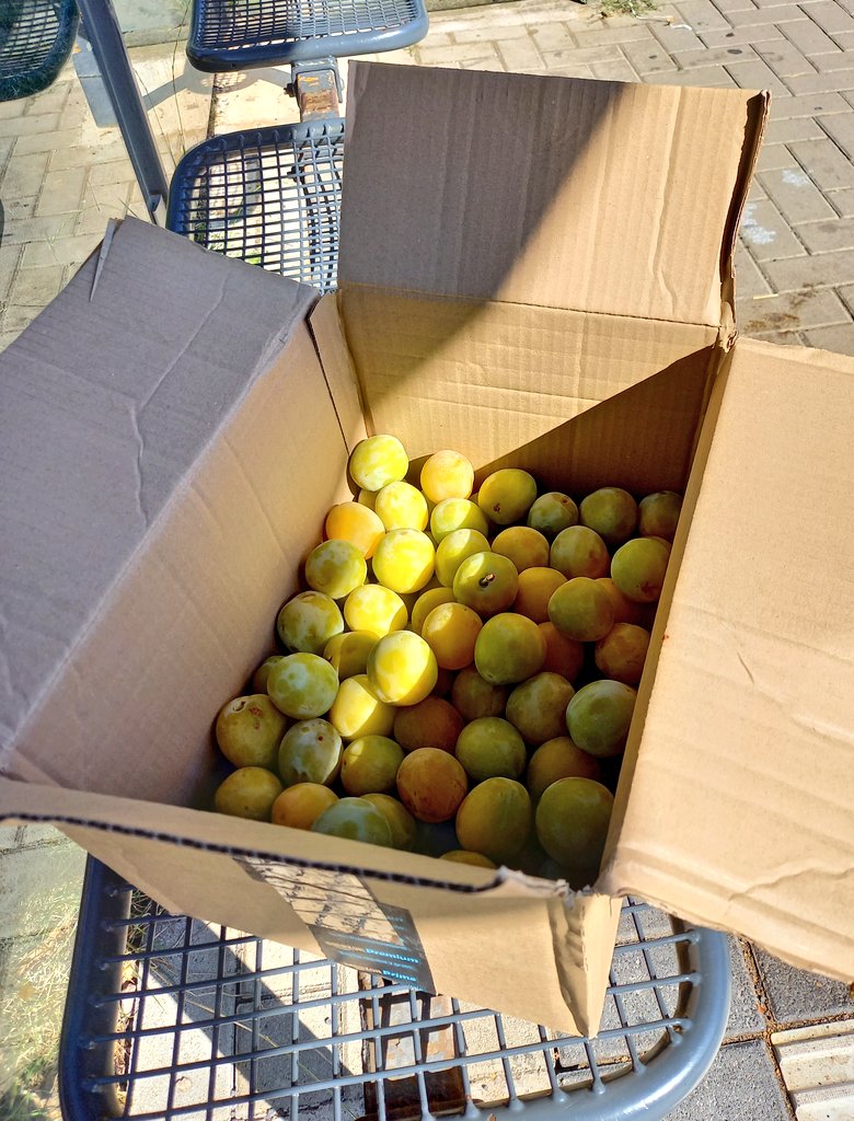 Nik Myers tweet media