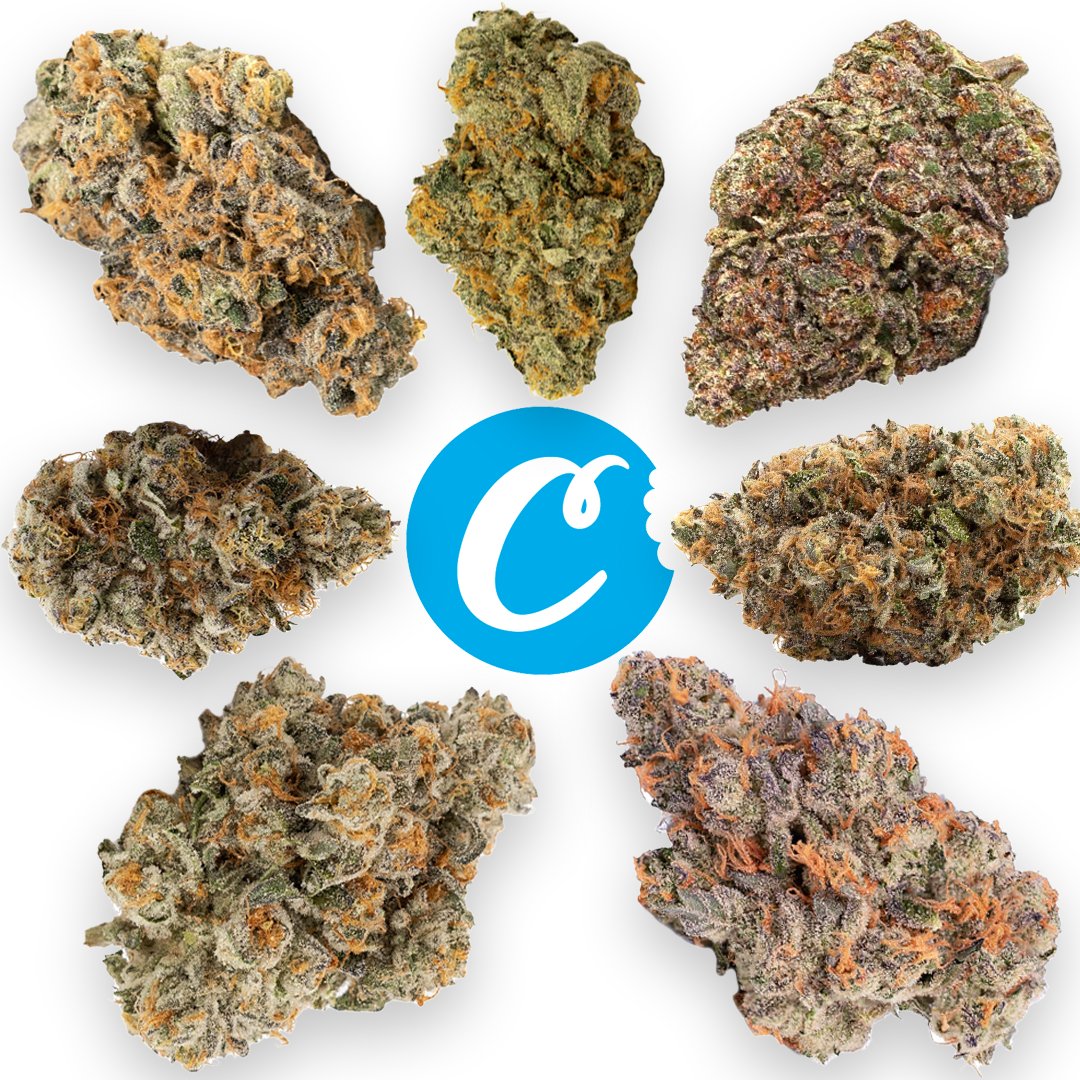 CookiesMich's tweet photo. No matter what time it is, it’s the perfect time to roll up https://t.co/ykGEWpFhsF