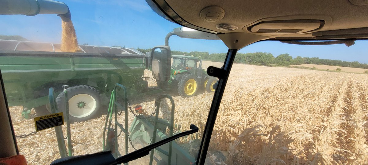 DerekKahlig's tweet photo. 140 acres to go on '22 corn this morning, with a little luck we'll wrap it up today https://t.co/nblpijcTxb