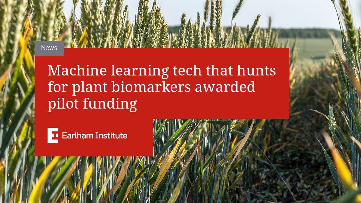EarlhamInst's tweet photo. 💬 “What makes #TraitSeq so innovative is the computational component. This is how we’re able to accurately and robustly predict measurable targets that relate to changes in phenotype, physiology or metabolism under varying environmental conditions."
https://t.co/nEfzmmli2V https://t.co/yrILHYBhyx