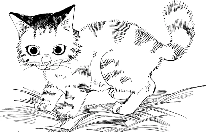 にゃん🐱 