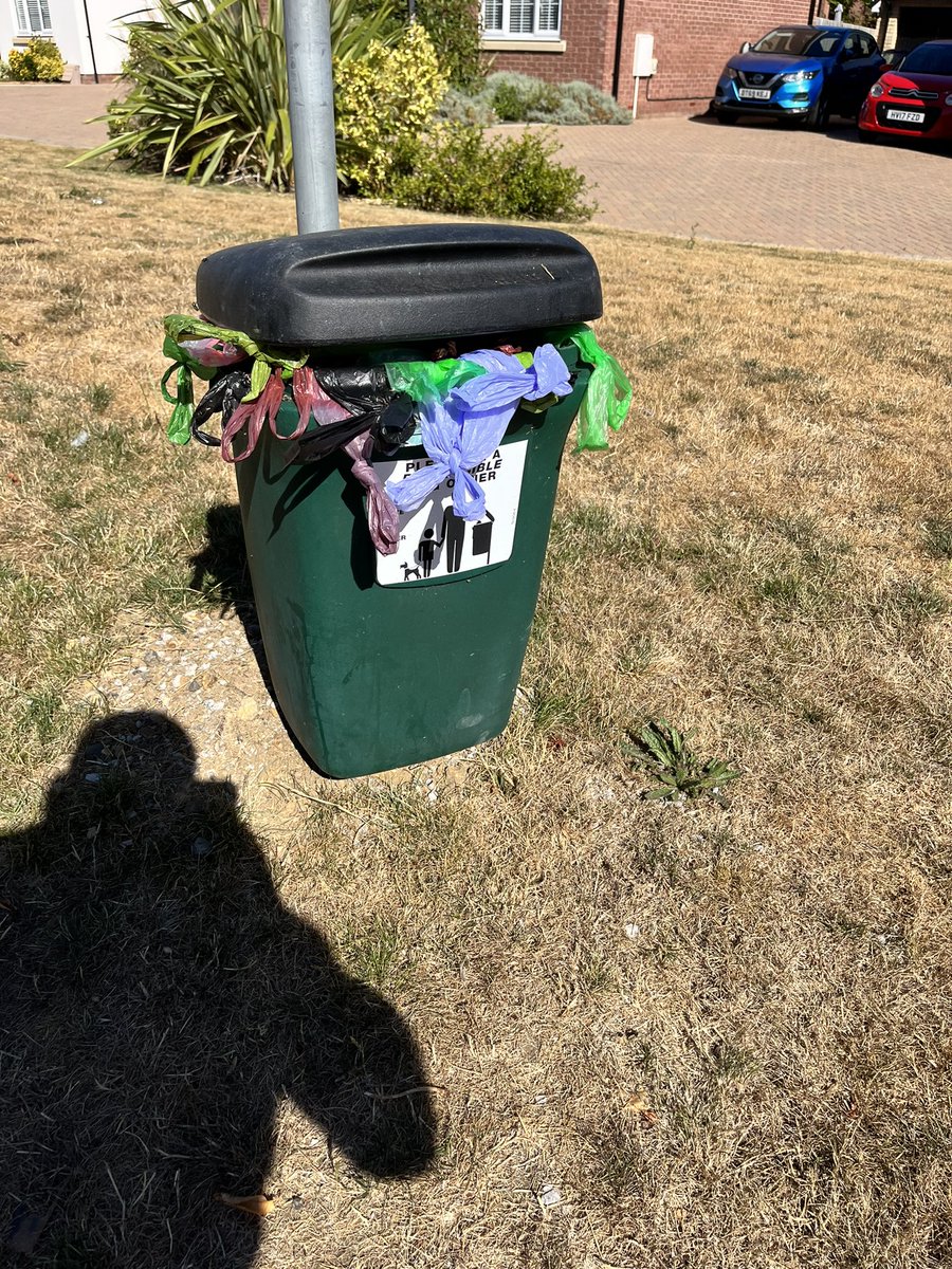 dunnydozer's tweet photo. @Essex_CC are you actually ever going to empty this health hazard dog mess bin??? Flies everywhere in main road great Leigh’s. Remind me where our tax  goes? https://t.co/g4yGsCpFzp