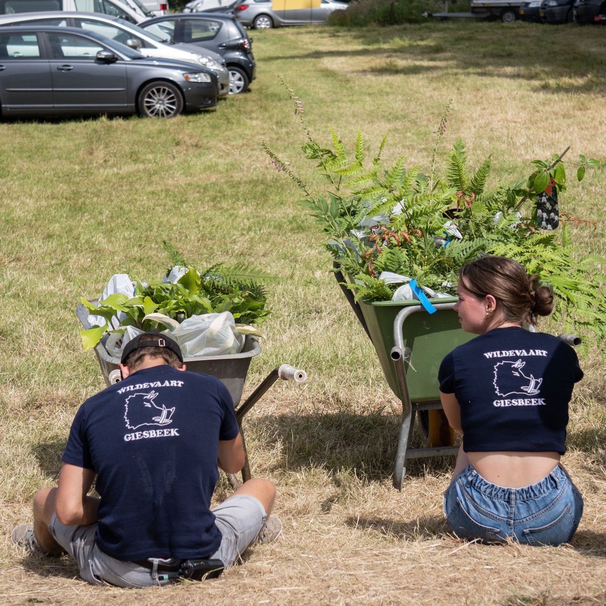 Hartelijk dank aan Waterscouting Abel Tasman Giesbeek voor alle hulp op de Internationale Kwekerijdagen 2022. Ze zaten er niet alleen mooi bij zoals hier, maar beheerde met passie de planten- en autoparking, en dat in die hitte!  😊

#tuinen #gardeninspiration #nurserydays