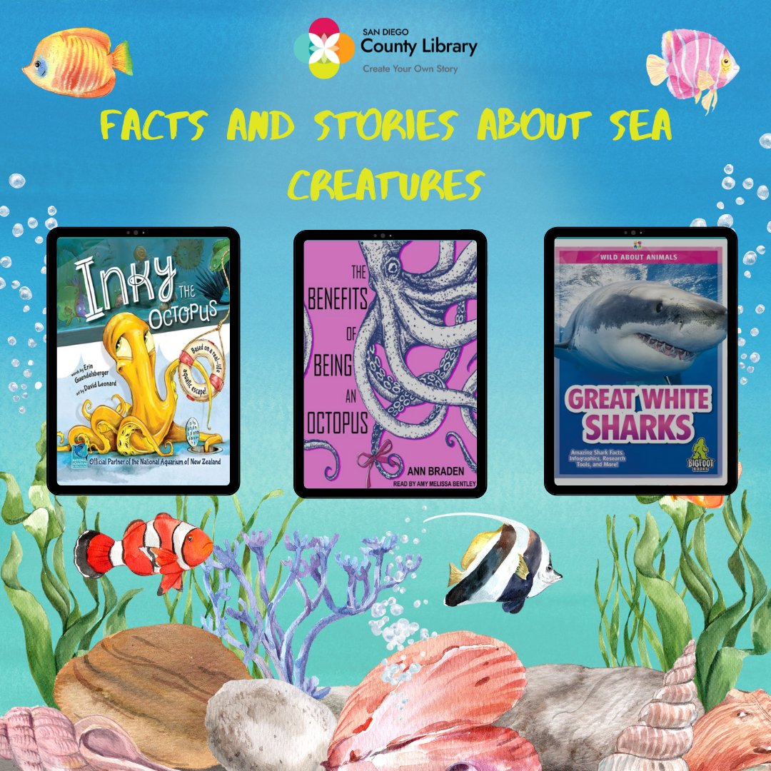 San Diego County Library tweet media