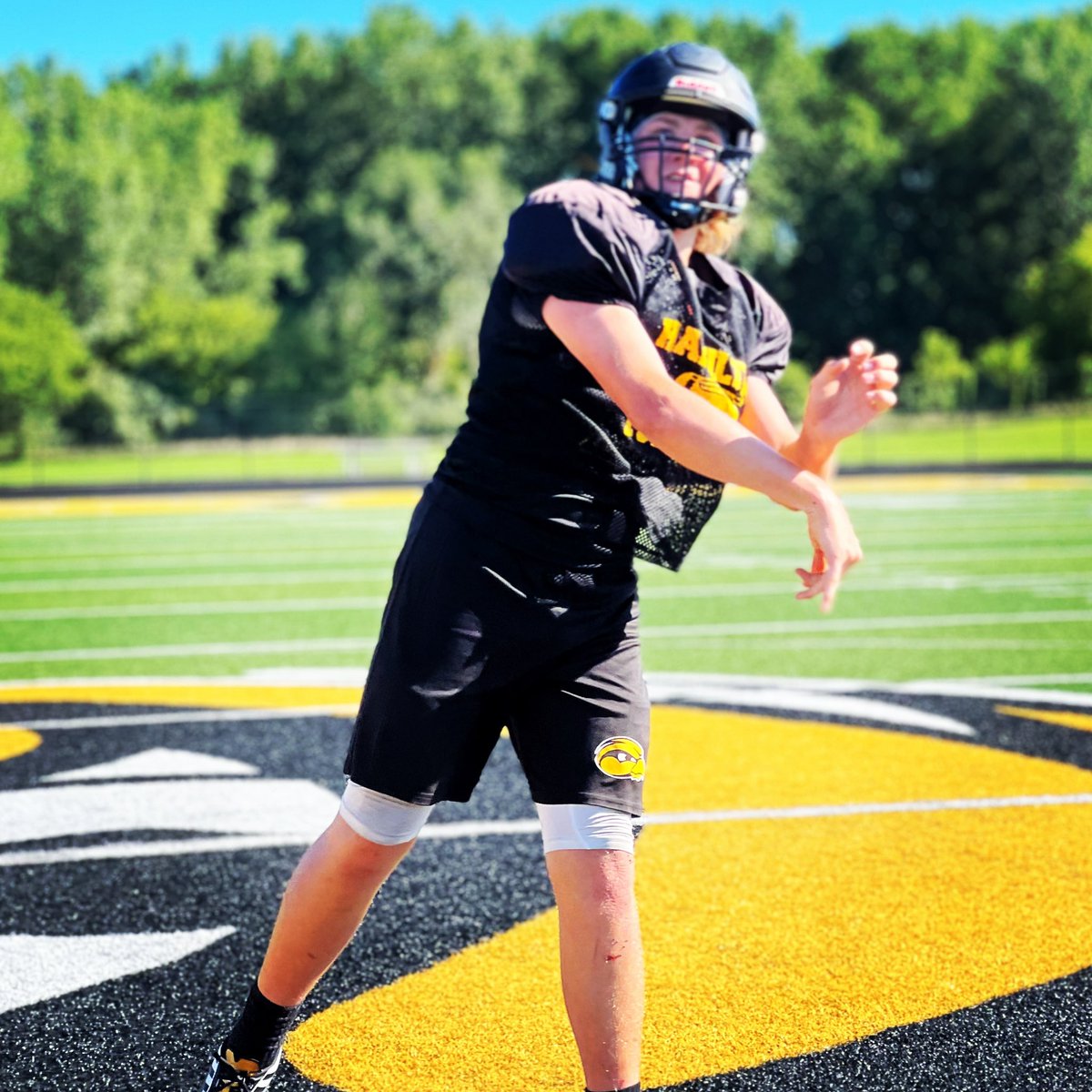 Hamilton Football tweet media