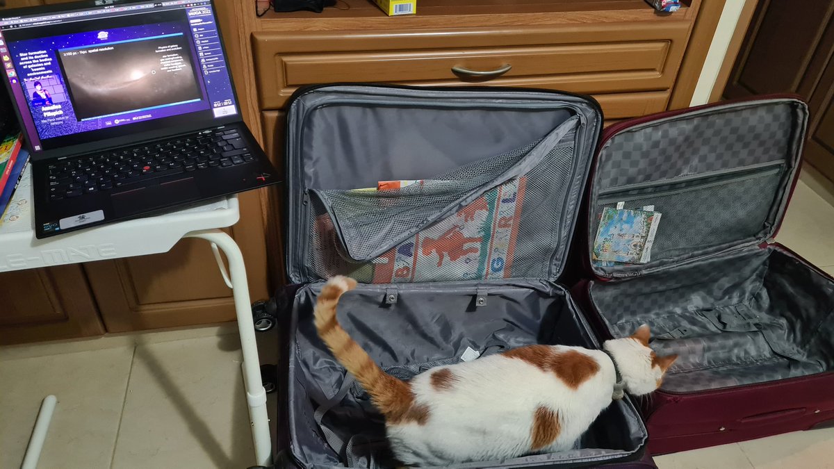 Asientos de 1ra fila en la asamblea general de la IAU, con mi acompañante (e inspector de maletas)