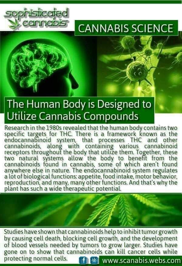 Happy Wednesday #stonerfam just hit this amazing #hhc vape pen and it reminds me why I started this ganja journey. What a lovely #cannabinoid. Check it out it's amazing 🤩 Great body relief with a noticeable but not overwhelming head change. #spreadlove  leafwell.com/blog/what-is-h…