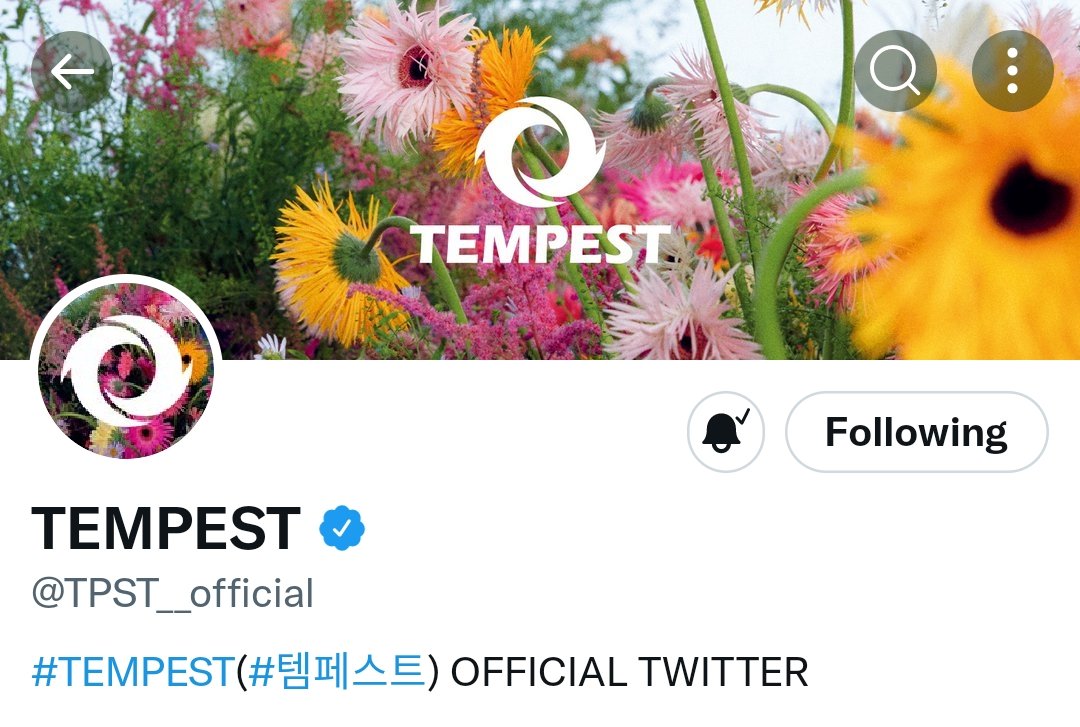 myserotoninhubi's tweet photo. tempest concept be like: https://t.co/8SXlbQVs8U