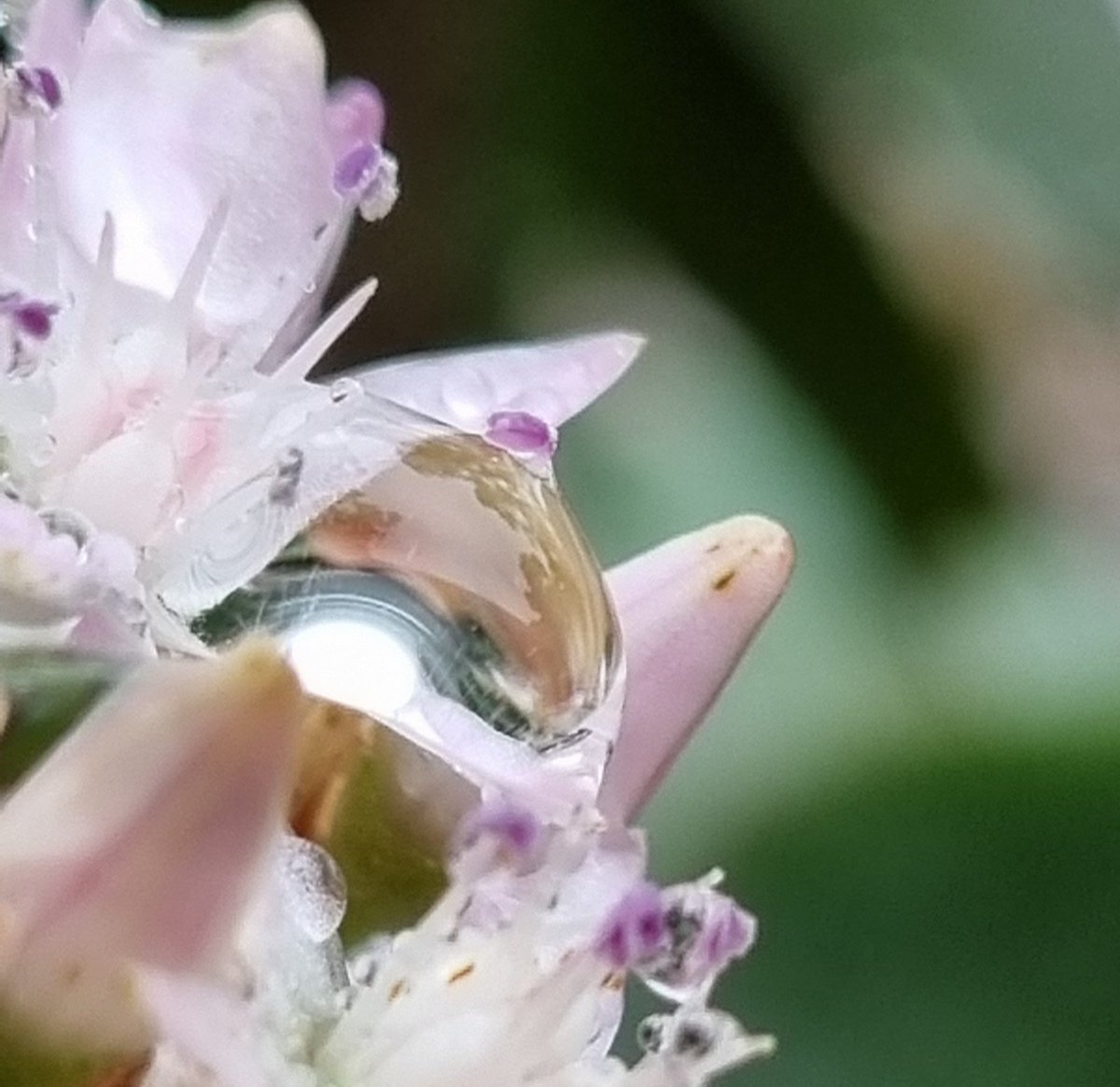 Man Camera tweet media