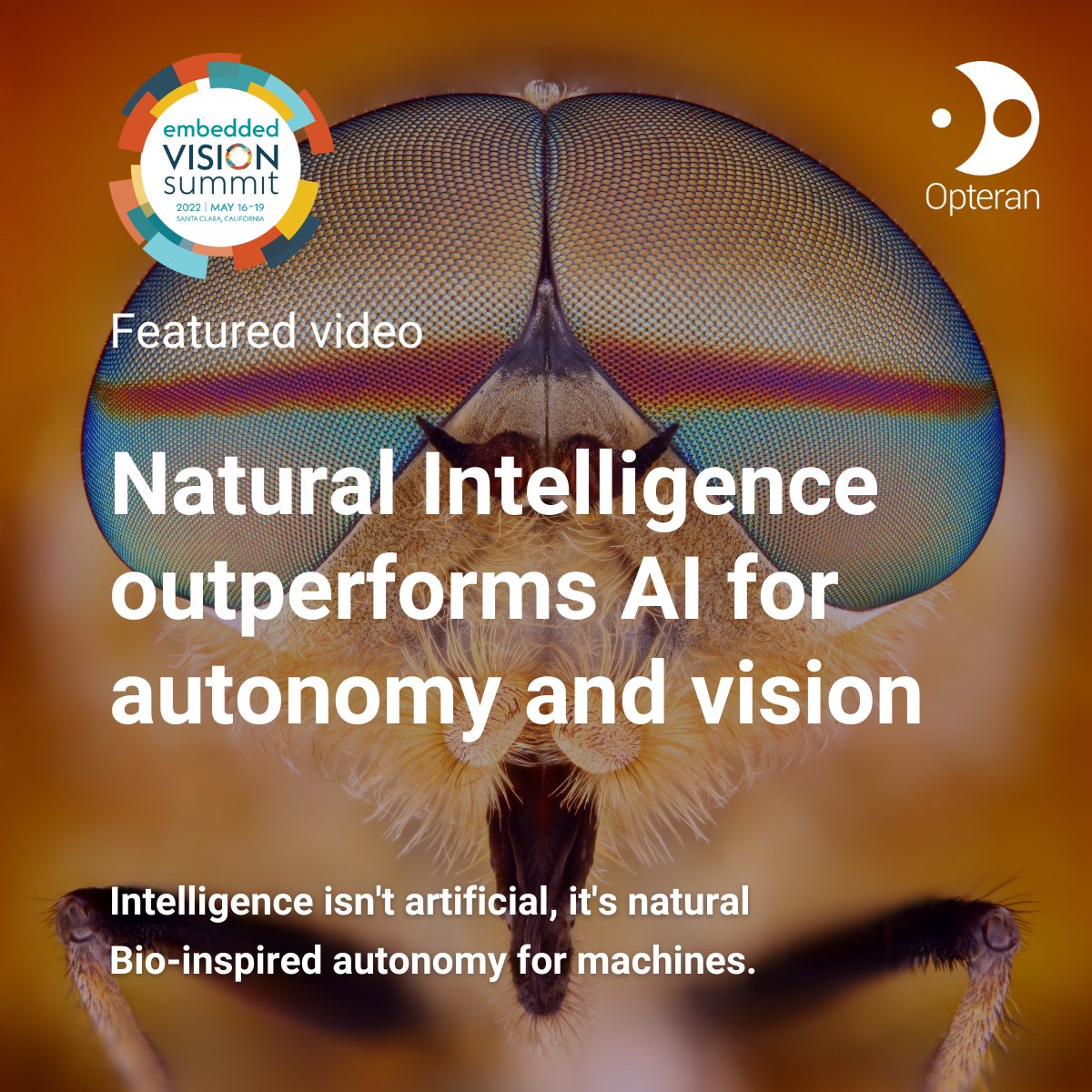 opterantech's tweet photo. Did you catch @opterantech's @DrJimminy's presentation on the benefits of Natural Intelligence vs Artificial Intelligence? The full presentation is now available online - https://t.co/IXt8IveSmv
#drones #roboticss #uavs #opteran #autonomy #SLAM #ai https://t.co/jrSlkXucqK