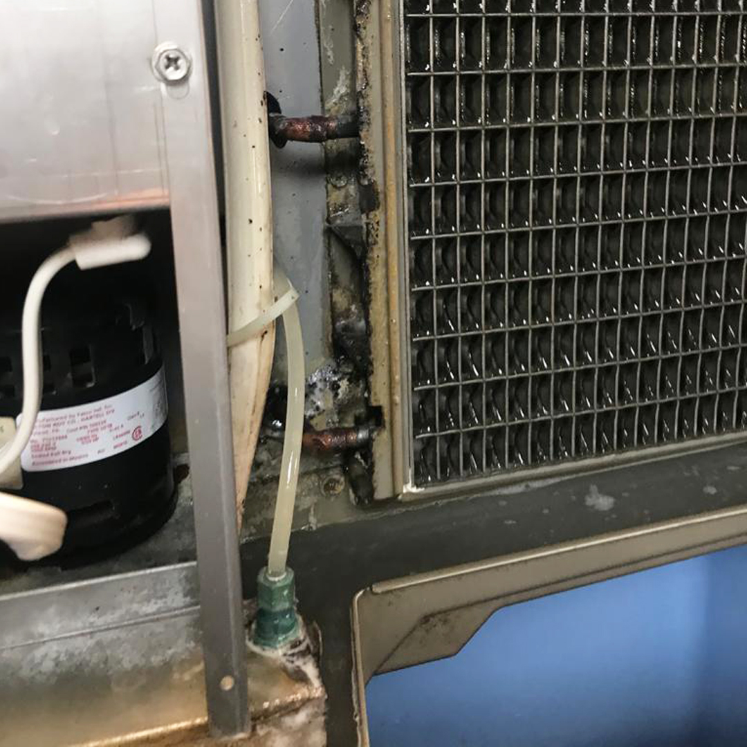 Advanced tweet media