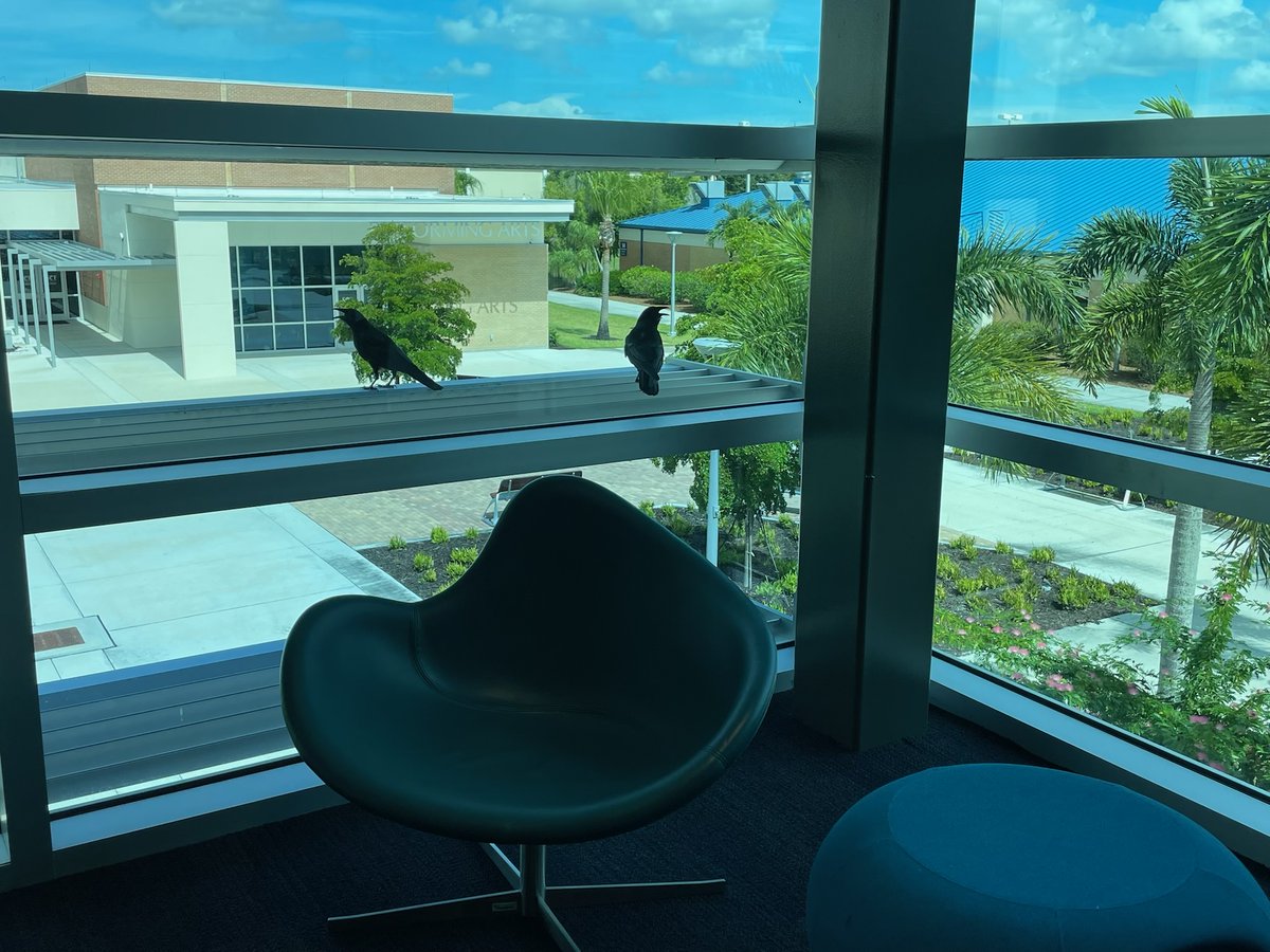 SCFLibraries tweet media