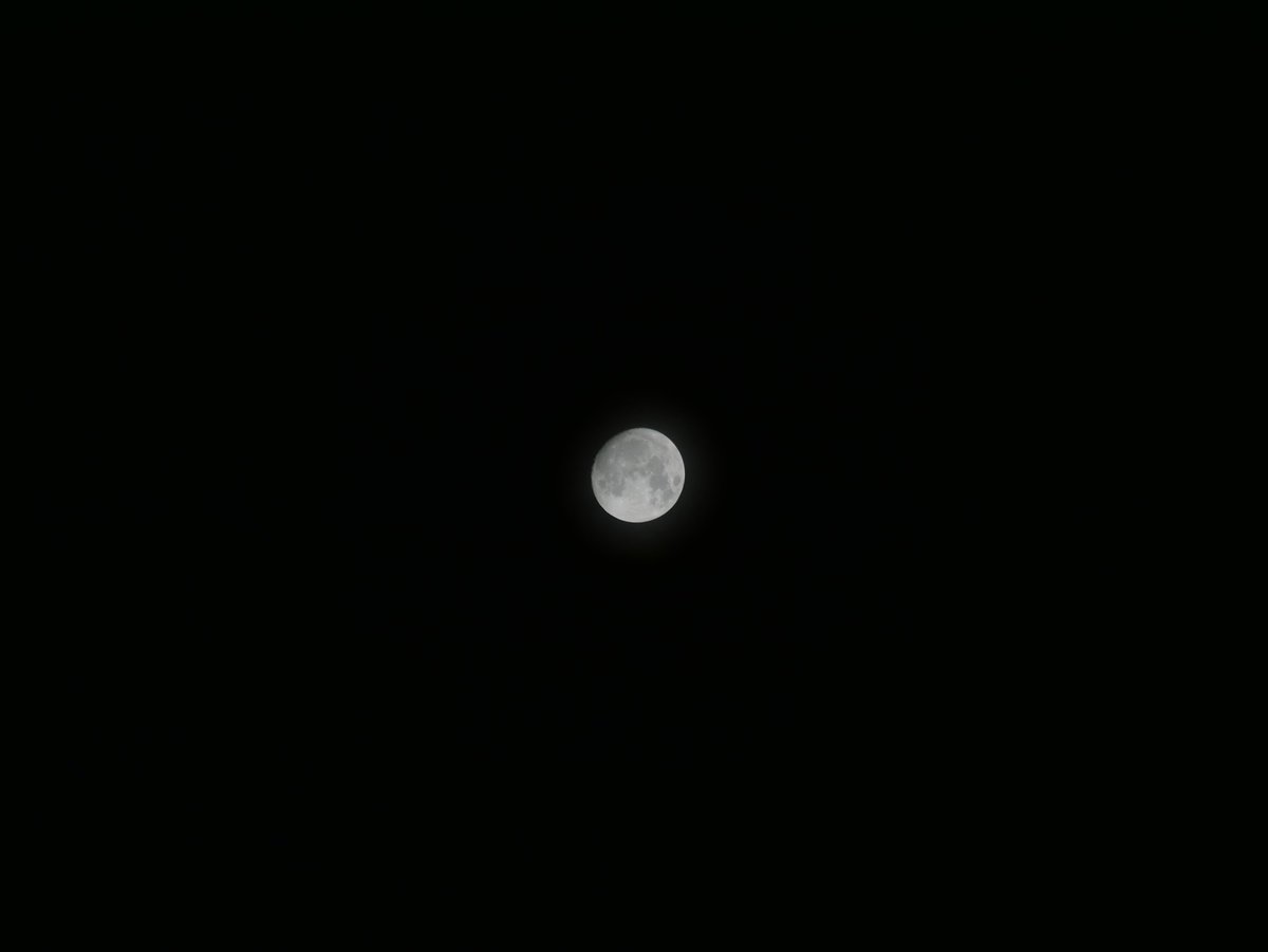 TsukushiMv's tweet photo. 今宵の月。月齢 12.4 もうすぐ満月
140mm F5.6 ISO400 1/800  Jpeg撮って出し。
この後もう一枚いきます。

#イマツキ 
#Panasonic #LUMIX #DMCG7 #G7 https://t.co/HB7zLckeyN