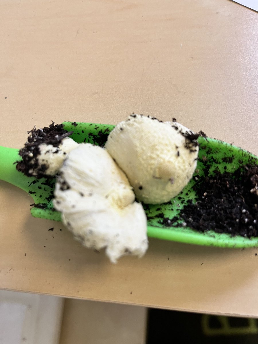 Jennifer Alexander tweet media