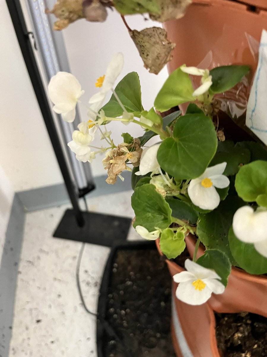 Jennifer Alexander tweet media