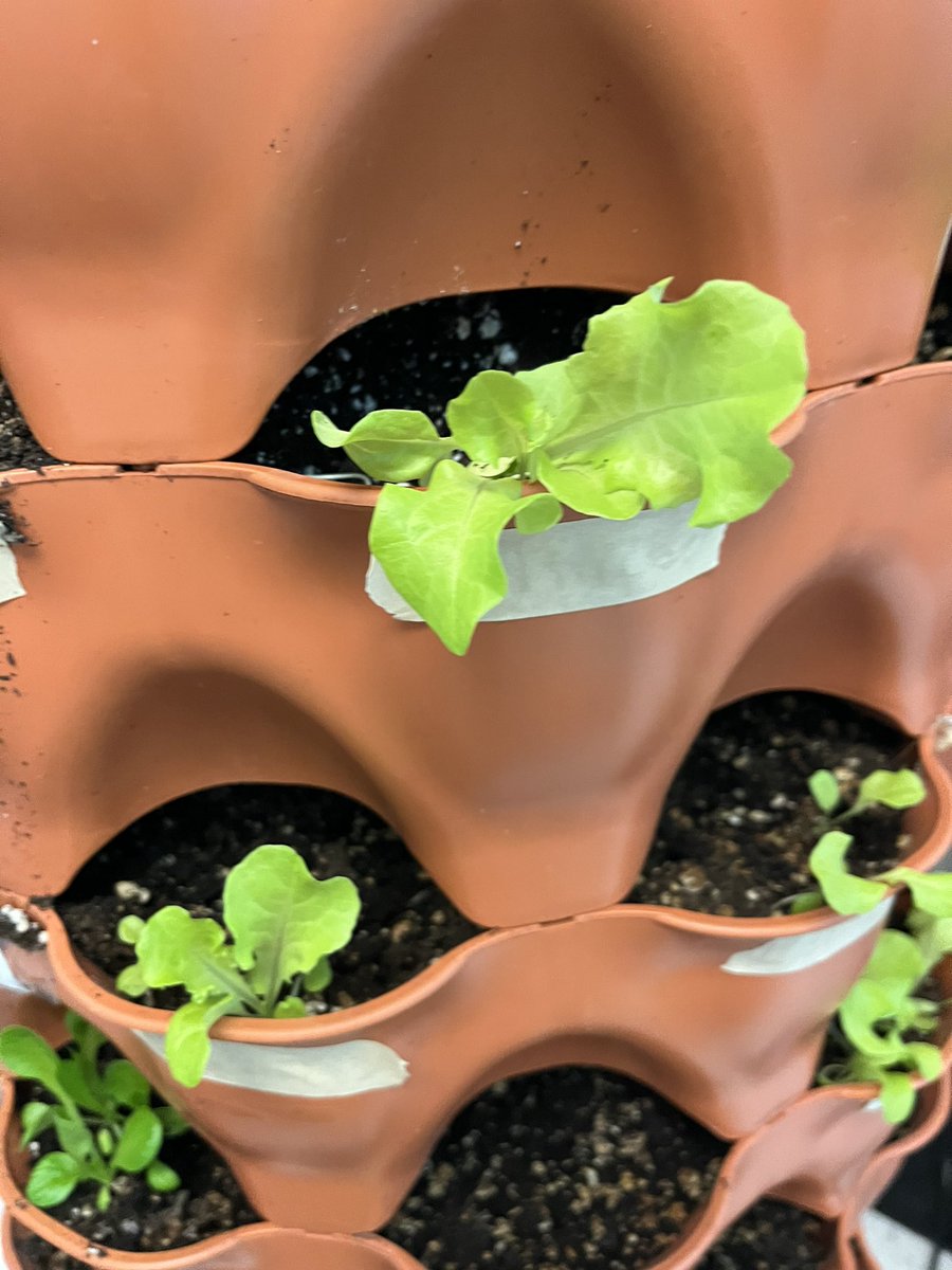 Jennifer Alexander tweet media