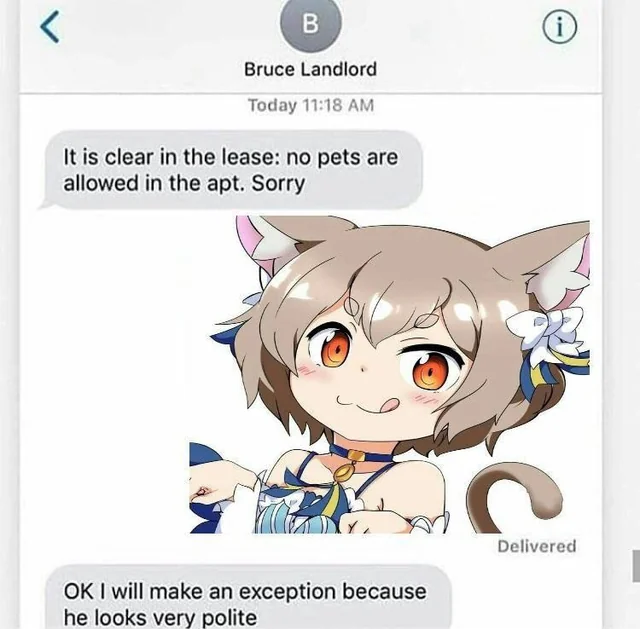 FemboyUnity's tweet photo. https://t.co/njigfmXwgd
