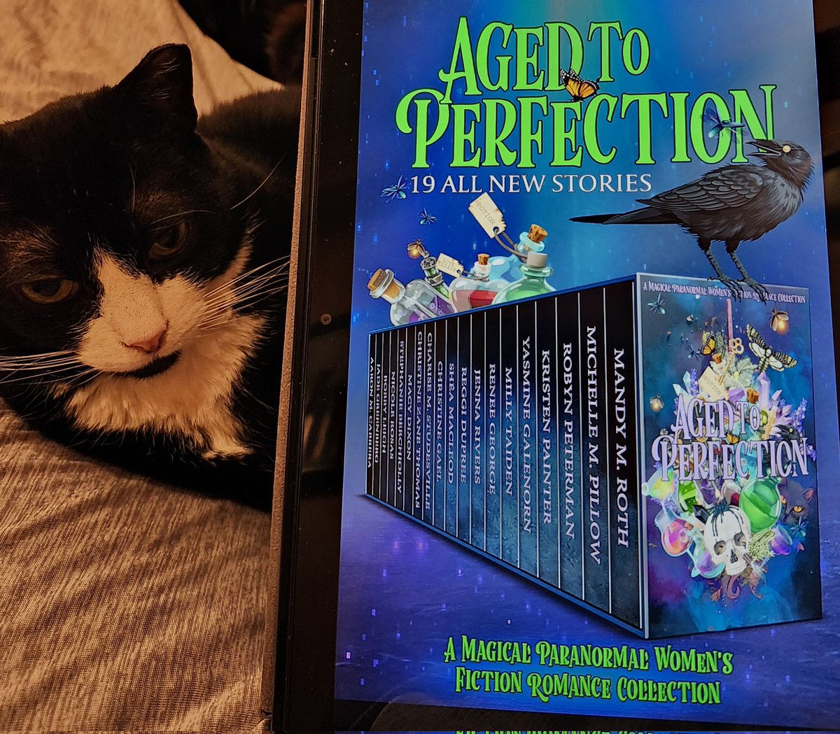 Just a little catty reading 😉

#cats #Reading