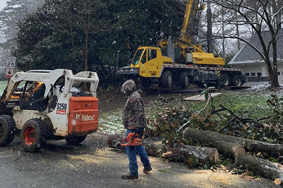 Do Tree Removal Companies Work in the Rain?
72tree.com/do-tree-remova… #treeservice #treeremoval