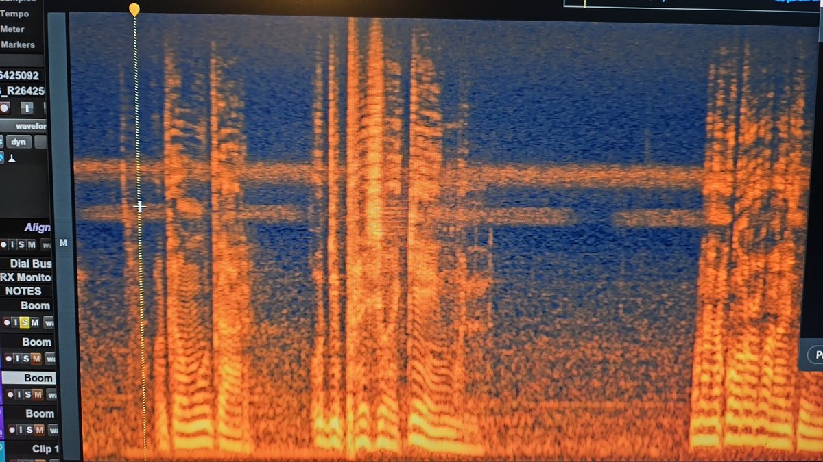 Soph - moved to BlueSky tweet media