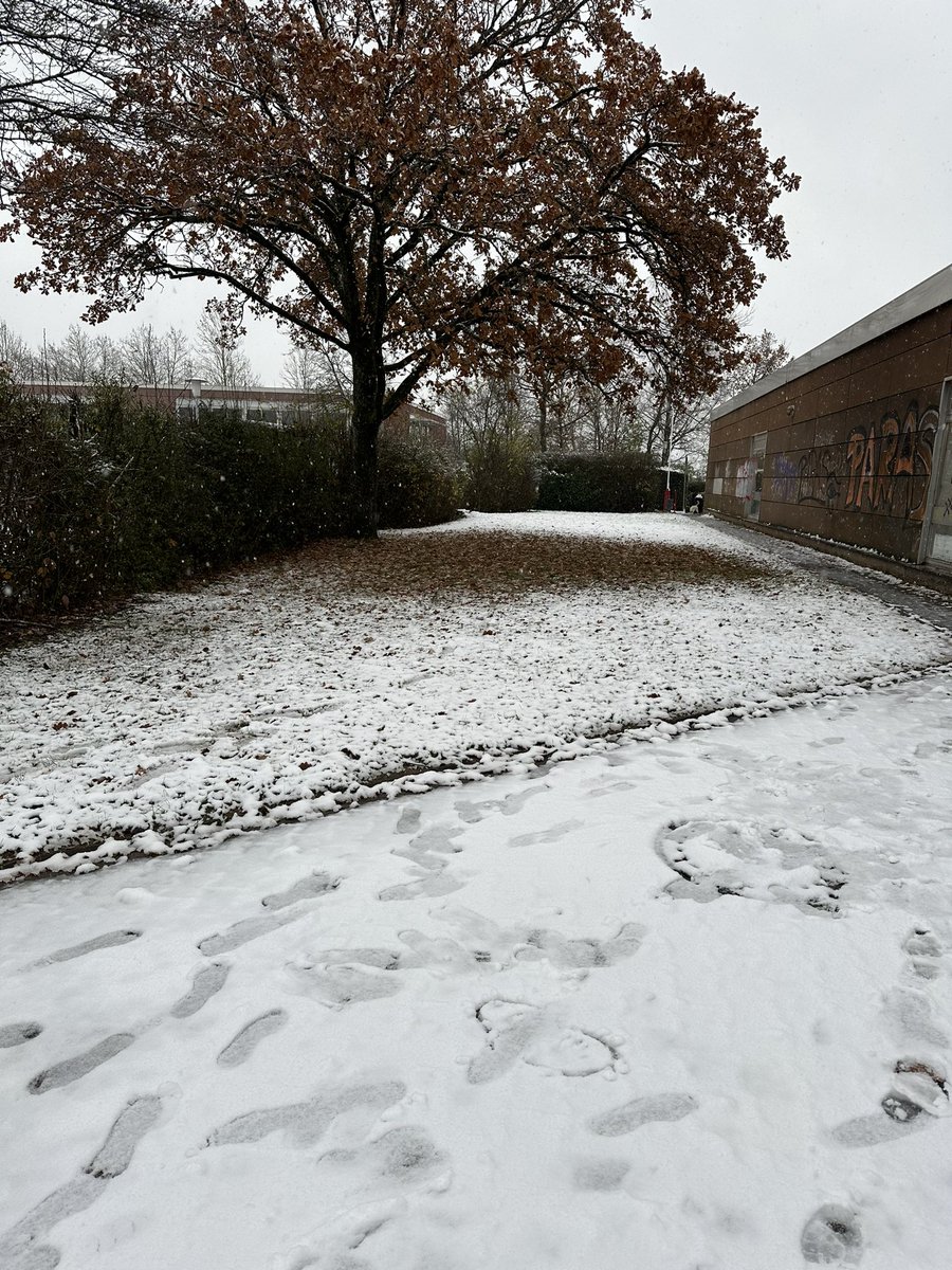 The first snow has fallen in Canited! ❄️☃️