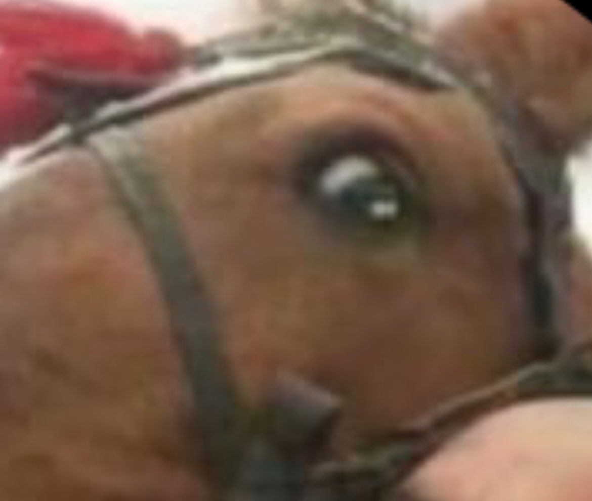 Racing Creeps tweet media