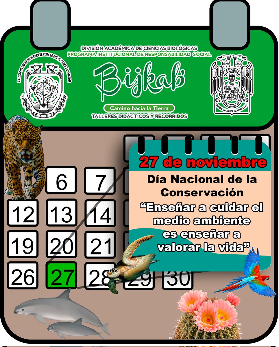 bijkab_UJAT's tweet photo. Hoy se conmemora el Día Nacional de la Conservación en México💚 https://t.co/pAoBtjjseJ