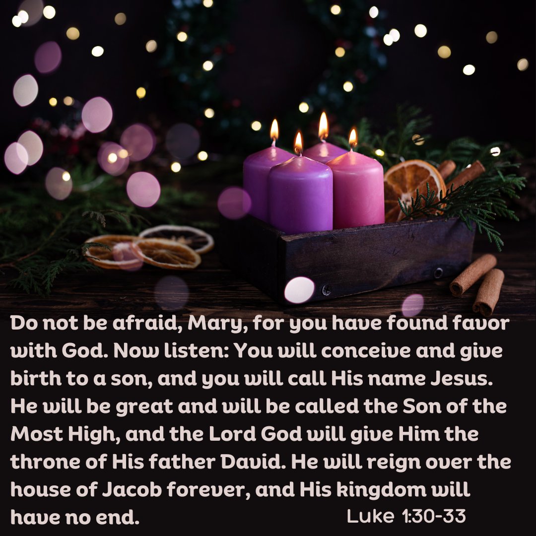 reasons_tea's tweet photo. Do not be afraid, Mary... You will conceive and give birth to a son, and you will call His name Jesus. He will be great and will be called the Son of the Most High, and the Lord God will give Him the throne of His father David.... Luke 1:30-33 #adventweek4 https://t.co/5XKn0qrfnC