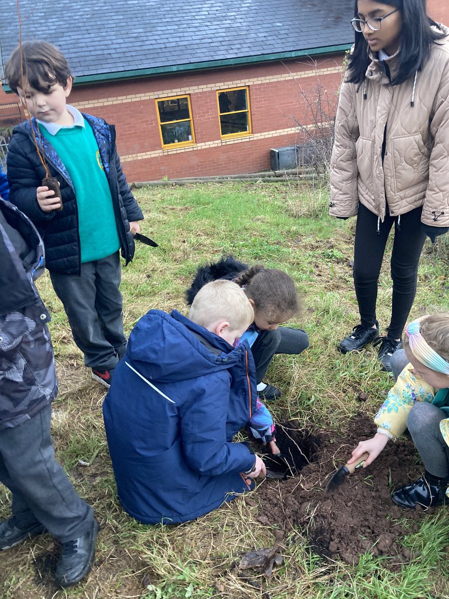 ThornhillPS's tweet photo. Diolch to the Thornhill family who donated two tiny trees for us to plant. @year2tps Nature Club planted them in our bushcraft area and we’re going to register them online so we can track the CO2 they are absorbing! #TPSeco @EcoSchoolsWales #TPSethical #tpsoutdoorlearning https://t.co/bYIcLEiVFh