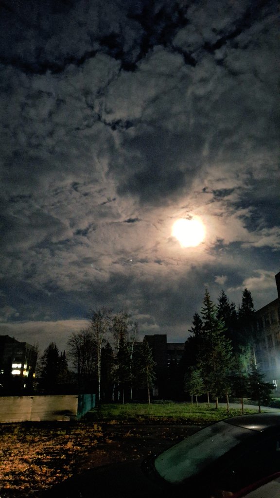 Anna Pavlova (@annapav70019836) on Twitter photo 