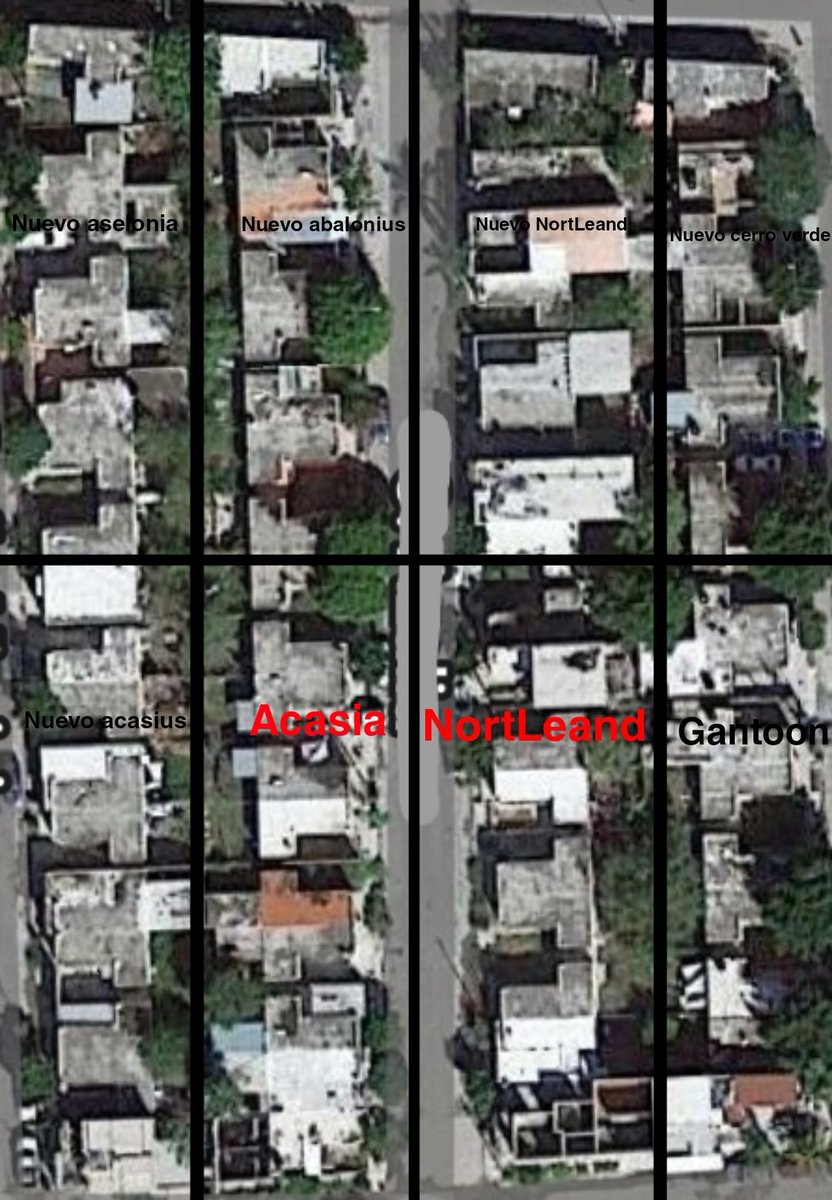 Republica de Nortleand tweet media